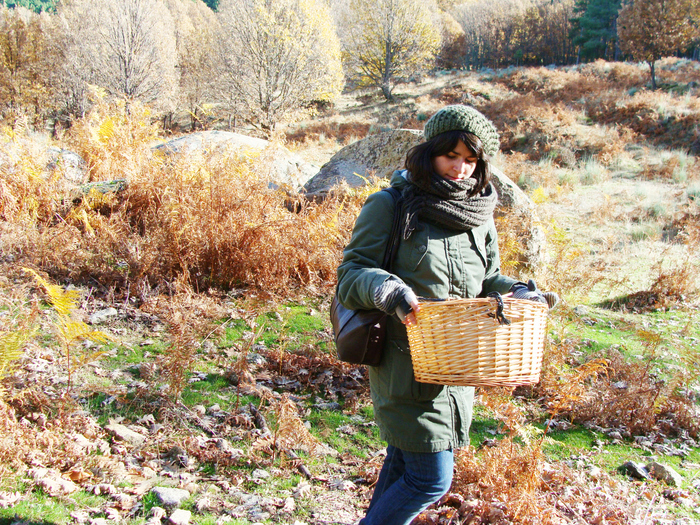 Jornadas micológicas en Navaluenga (Ávila)/Mycological days in Navaluenga (Ávila)