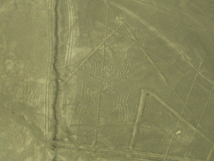 Nazca Perú XI