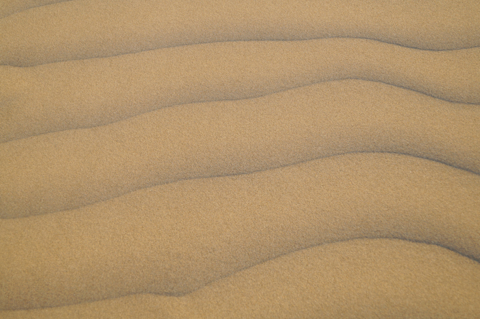 Sandboarding en Paracas VI
