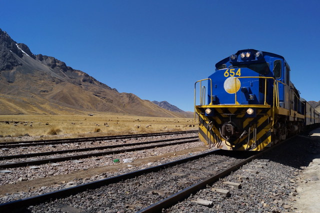 Tren Puno Cusco IX