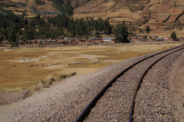 Tren Puno Cusco XV