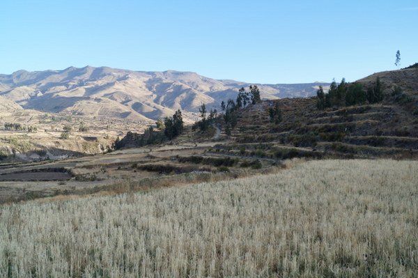 El Valle del Colca: increíbles paisajes infinitos en Perú/The Colca Valley: amazing endless landscapes in Peru